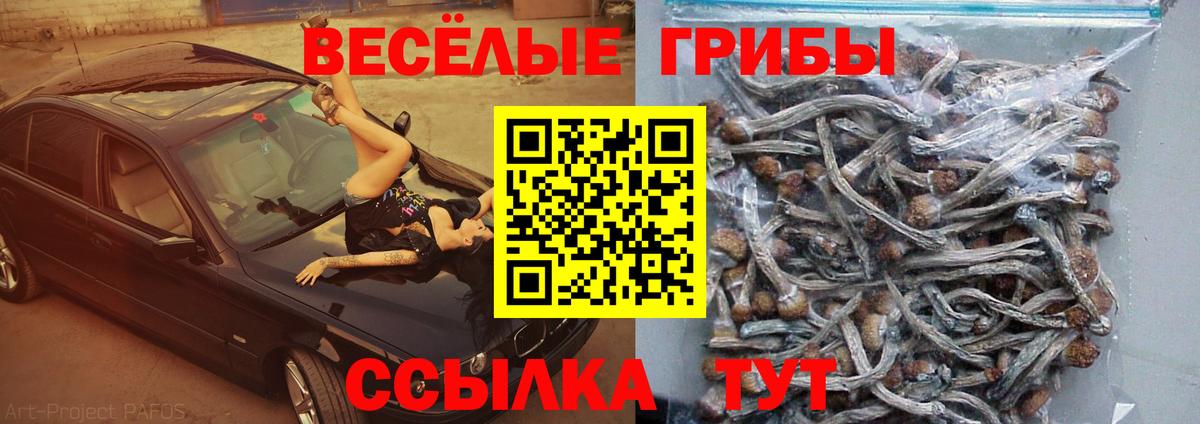 Галлюциногенные грибы GOLDEN TEACHER Волгоград