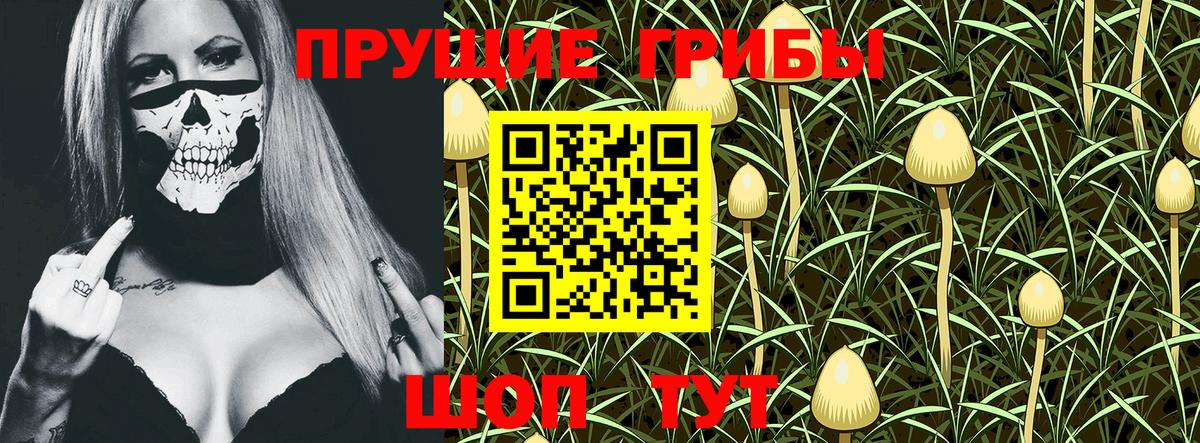 Волгоград  Псилоцибиновые грибы MAGIC MUSHROOMS  Вход с VPN 